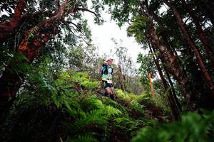 BIB: 
                            <button type="button" onclick="openModal(26204083)" class="btn btn-primary btn-sm float-right btn-popup" data-toggle="modal" data-target=".modal-high-quality">
                        <i class="fas fa-shopping-cart"></i> Add to Cart
                    </button>
                                            <button type="button" onclick="isThisMe(26204083, true)" class="btn btn-success btn-sm float-right btn-popup btn-isme hidden" data-toggle="tooltip" data-placement="bottom" title="นี่คือรูปของคุณใช่ไหม คลิกที่นี่เพื่อเอาเข้าอัลบั้ม">
                        <i class="fas fa-plus"></i> Add to album
                    </button>
                    <button type="button" onclick="isThisMe(26204083, false)" class="btn btn-warning btn-sm float-right btn-popup btn-isnotme hidden">
                        <i class="fas fa-ban"></i> Remove from album
                    </button>